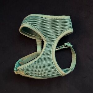 Blue cat/dog hardness